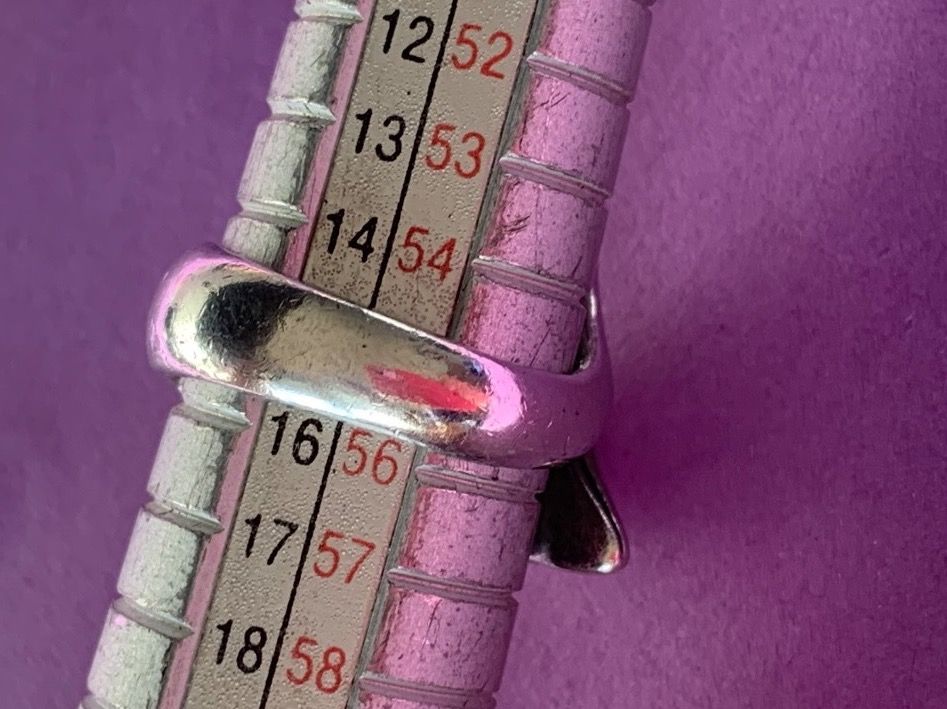 Ringe: Silberring DELPHIN umschlungen (55) – Gebraucht aus Dittingen von Bellevista 9