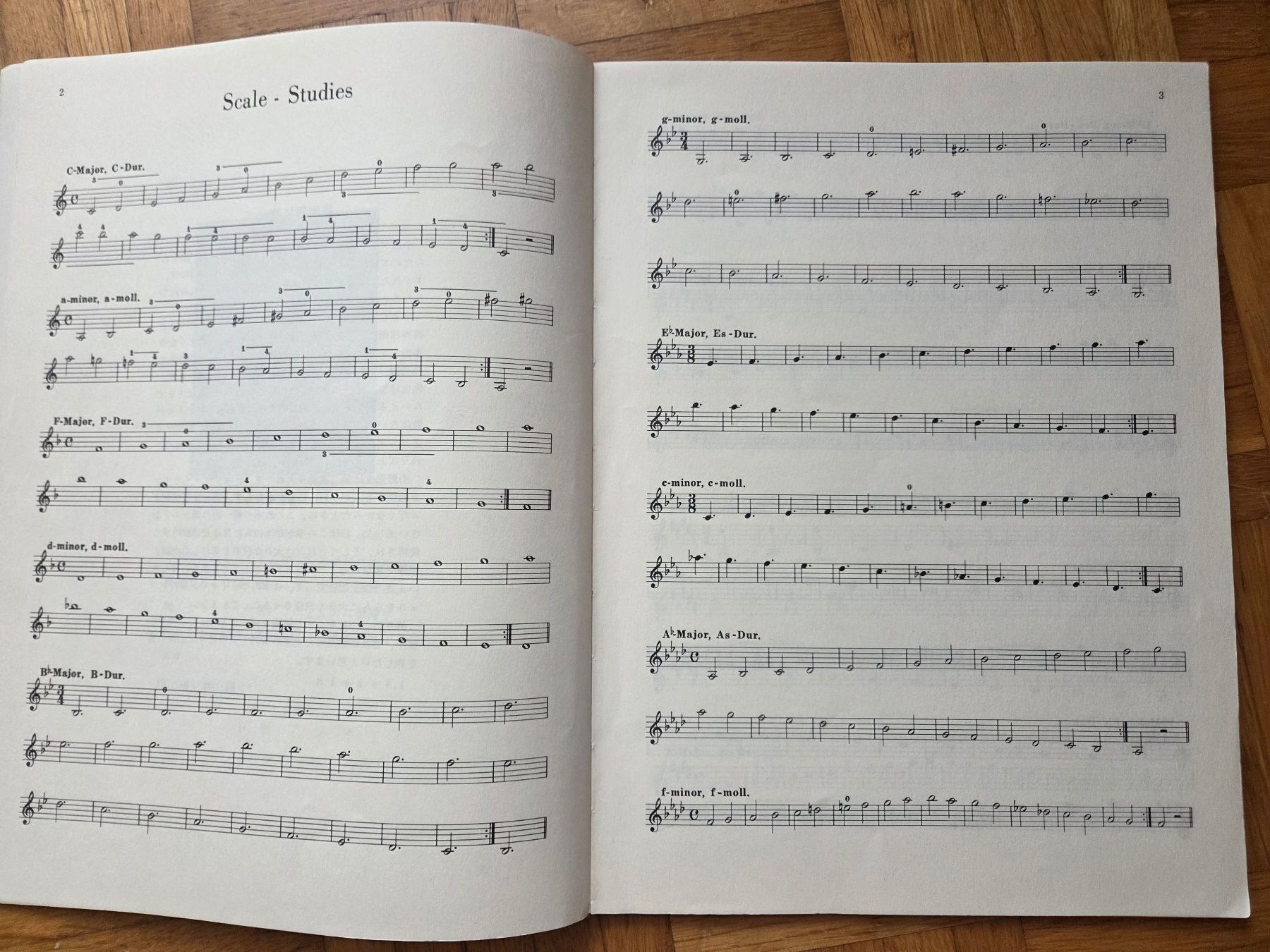 Livres: Violintechnik – D'occasion à Basel par Roundtrip 6