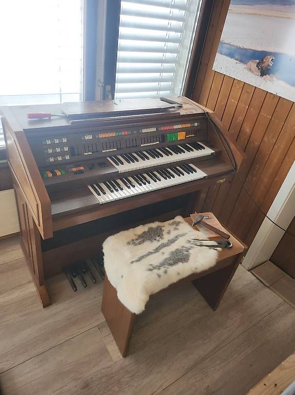 Musikinstrumente: Hohner Symphonie D98 Heimorgel – Gebraucht aus Gross von ulrich8841