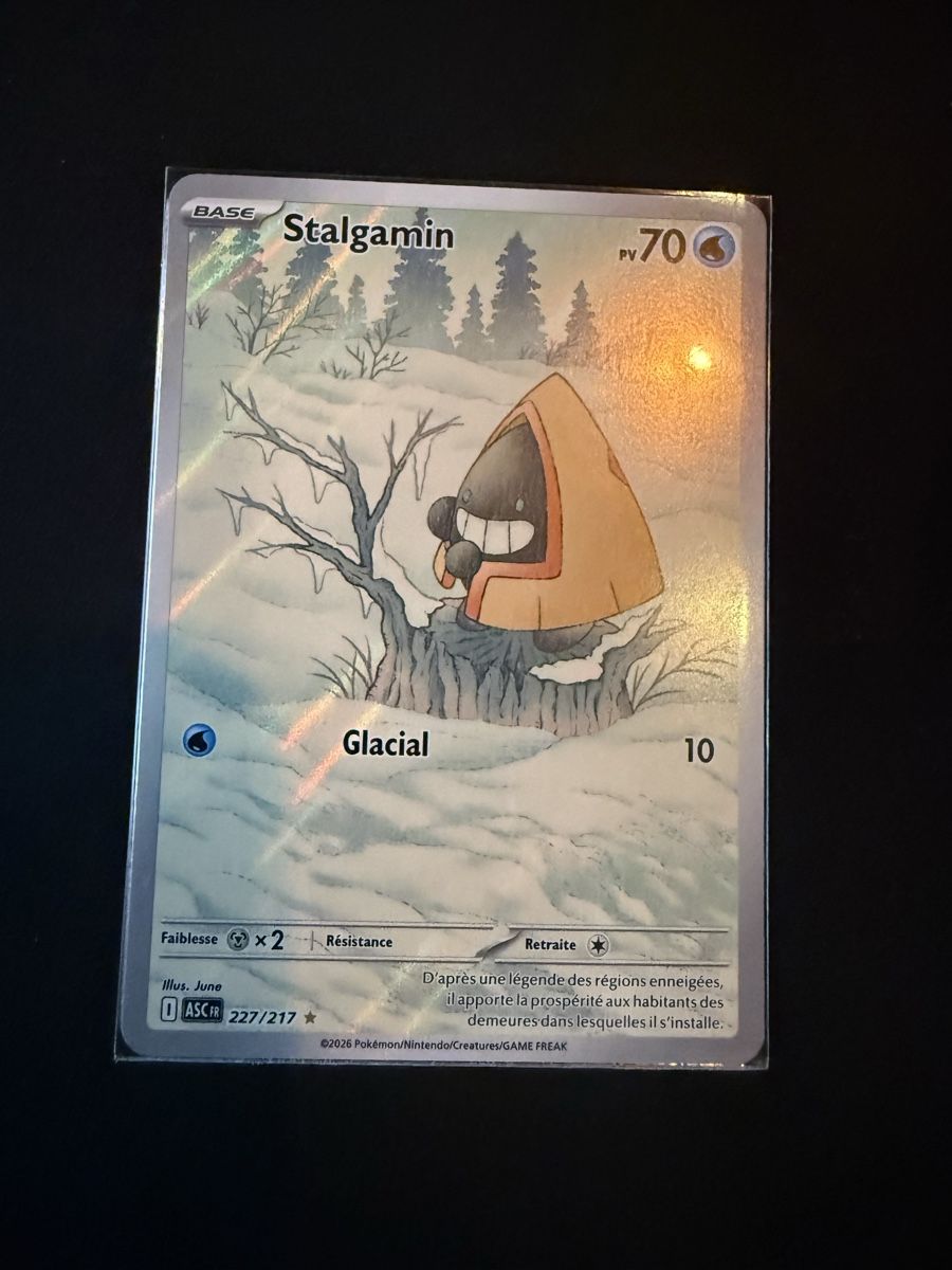 Pokémon Carte collezionabili: Stalgamin héros transcendant  – Nuovo (secondo la descrizione) da La Plaine venduto da 8-X