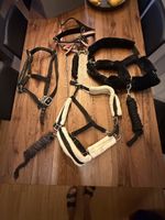 Pferde Zubehör Set Halfter Bürsten Tasche gebrauchter Zustan