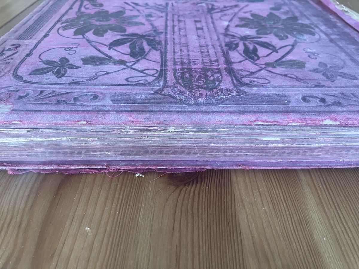 Libri: Antike Bibel 1909 | Bible – Difettoso da Zürich venduto da nos_2msr 6
