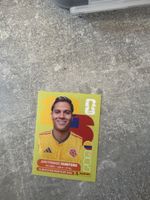 Panini COL 15