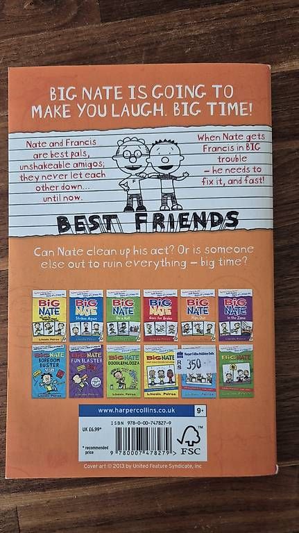 Libri: BIG NATE, Flips Out – Usato da Lyss venduto da d_p_id 1