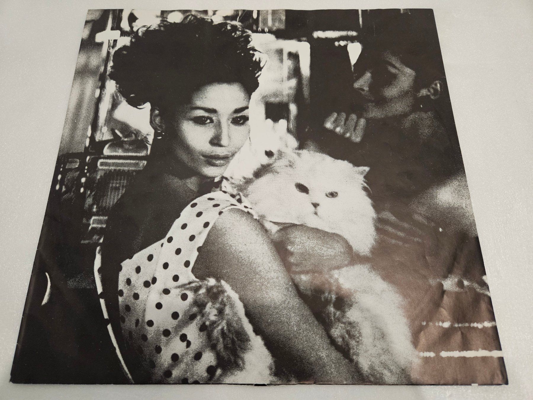 Dischi in vinile: Fashion – Fabrique – Usato da Uster venduto da Vinyl-Leidenschaft 2