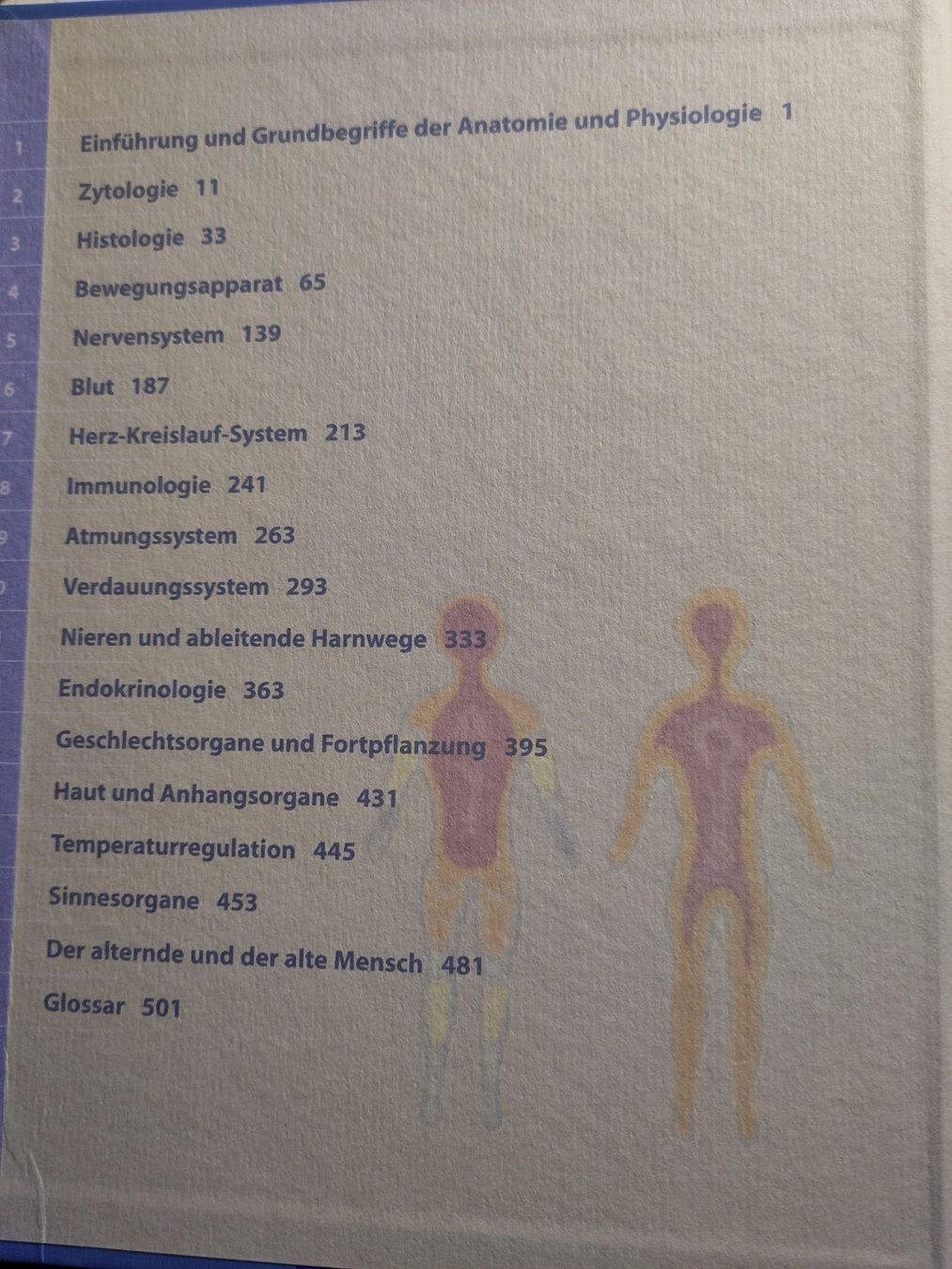 Libri: Lehrbuch: Anatomie und Physiologie – Usato da Bülach venduto da Tiefschlaflos 1