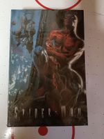 Spider-Man Schuber - Das fehlende Jahr