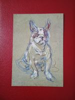 AK Kunst Hund Bulldogge (804)
