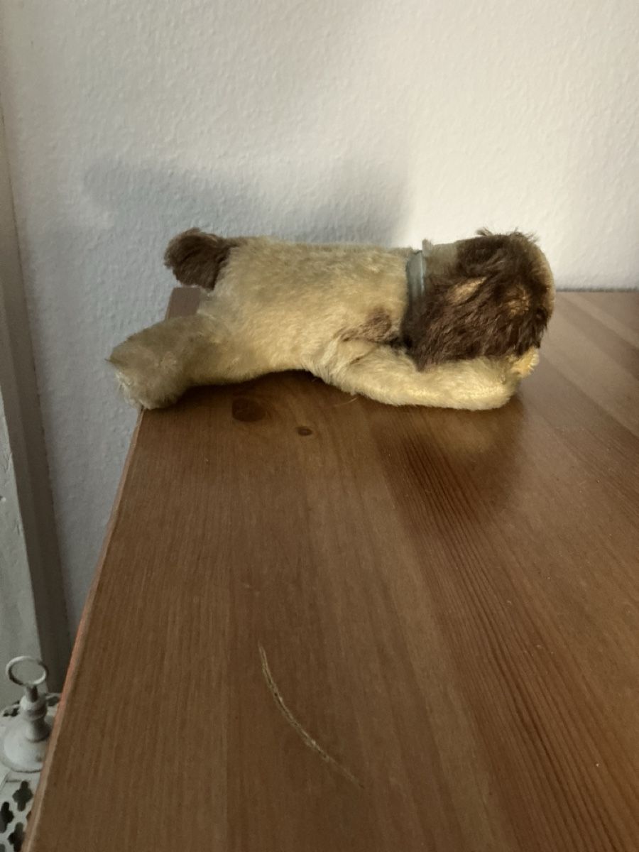 Steiff Giocattoli: Steiff Floppy Cockie Cocker Spaniel – Usato da Basel venduto da S.Wehrli72 1