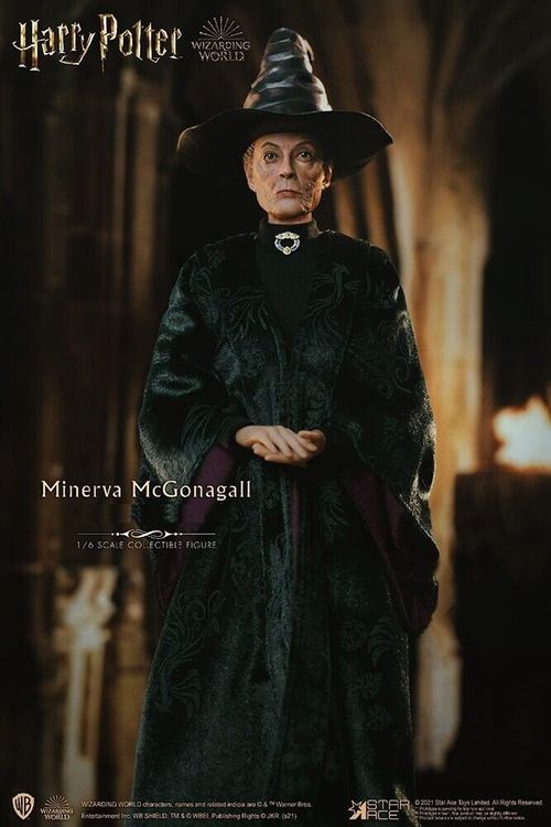 Harry Potter Minerva McGonagall 1/6 Figur Star Ace Toys Kaufen auf Ricardo