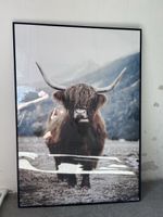 Bild Highland Rind mit Rahmen schwarz 50x70cm neu