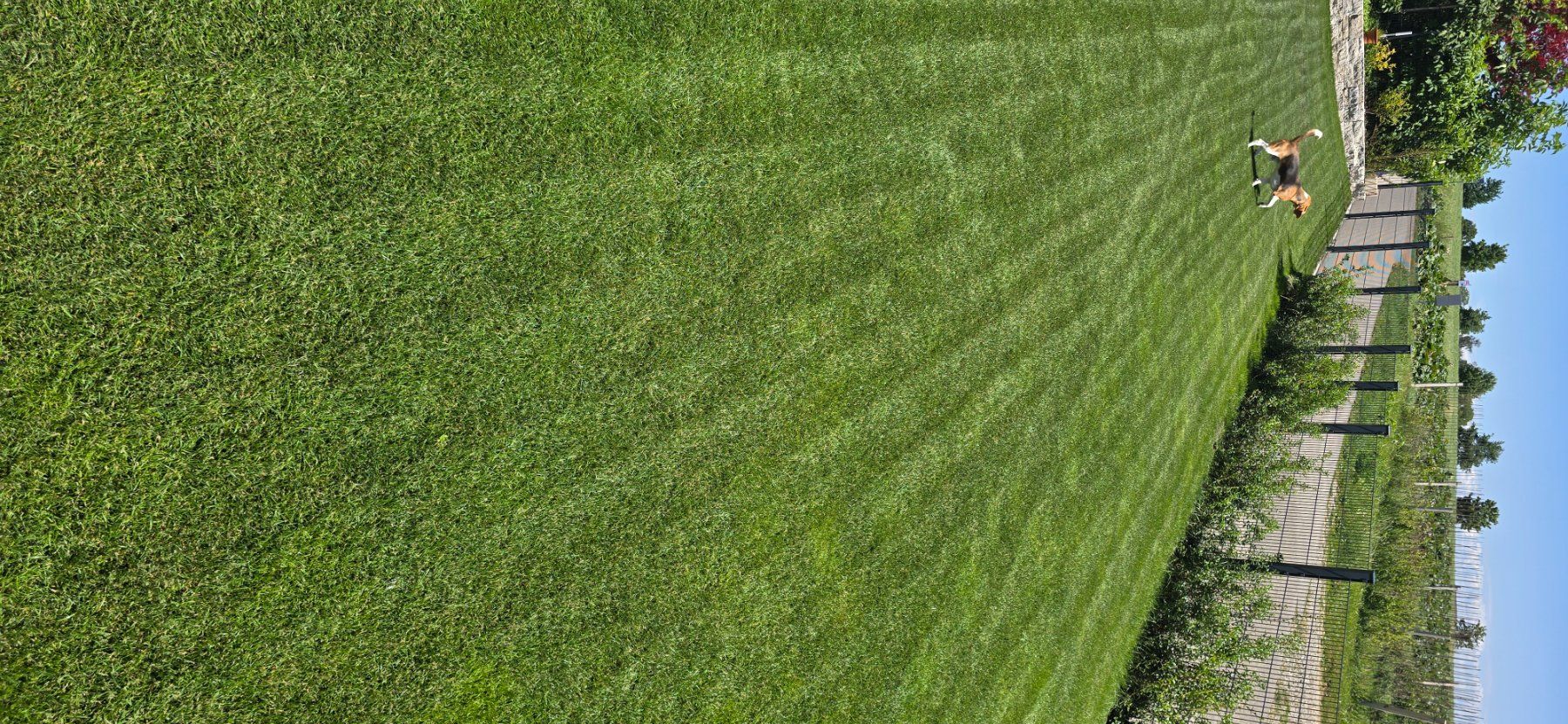 Ecovacs Rasenmäher: Ecovacs Goat G1-800 – Gebraucht aus Altishausen von martin137 4