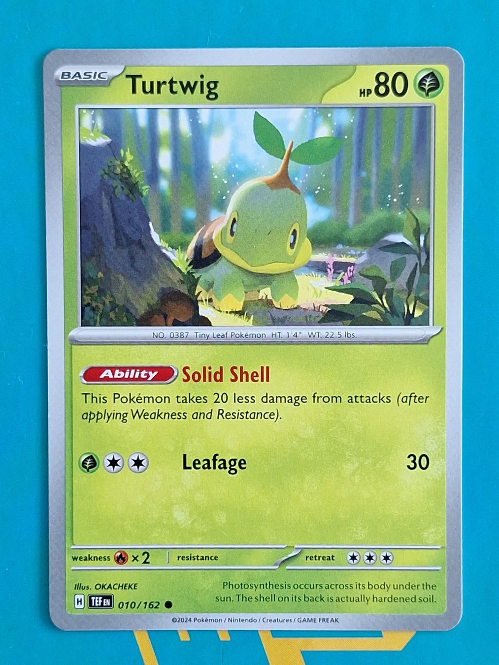 Pokémon Carte collezionabili: Turtwig - Temporal Forces Pokemon - #7.1 – Usato da Altstätten SG venduto da GGsGameshop