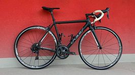 Felt F-Serie Carbon Rennrad - Shimano Ultegra
