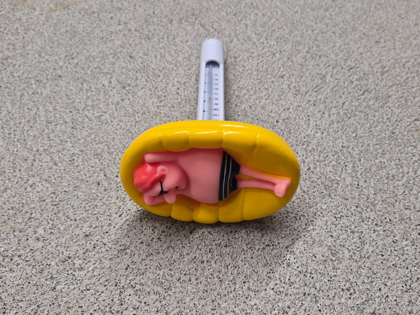 Autres articles pour la maison: Pool Schwimmbad Thermometer Hingucker Dekostück – Neuf (Voir description) à Wohlenschwil par Buly59 1