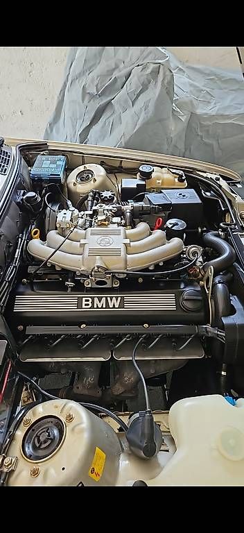Automobili: BMW E30 320i – Usato da Balsthal venduto da Purina 4