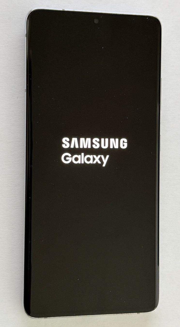 Samsung Telefoni cellulari / Smartphones: Samsung Galaxy S21 Ultra 5G – Usato da Frauenfeld venduto da Bleeddragon 3