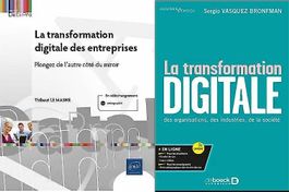 3x La transformation digitale des entreprises envoi compris