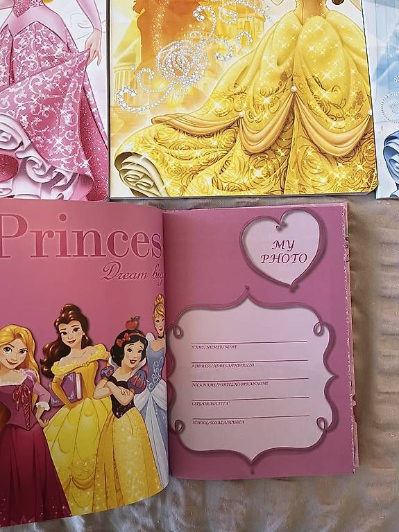 Blocchi: Disney Pricess Set – Usato da Mörschwil venduto da nvcmi 2