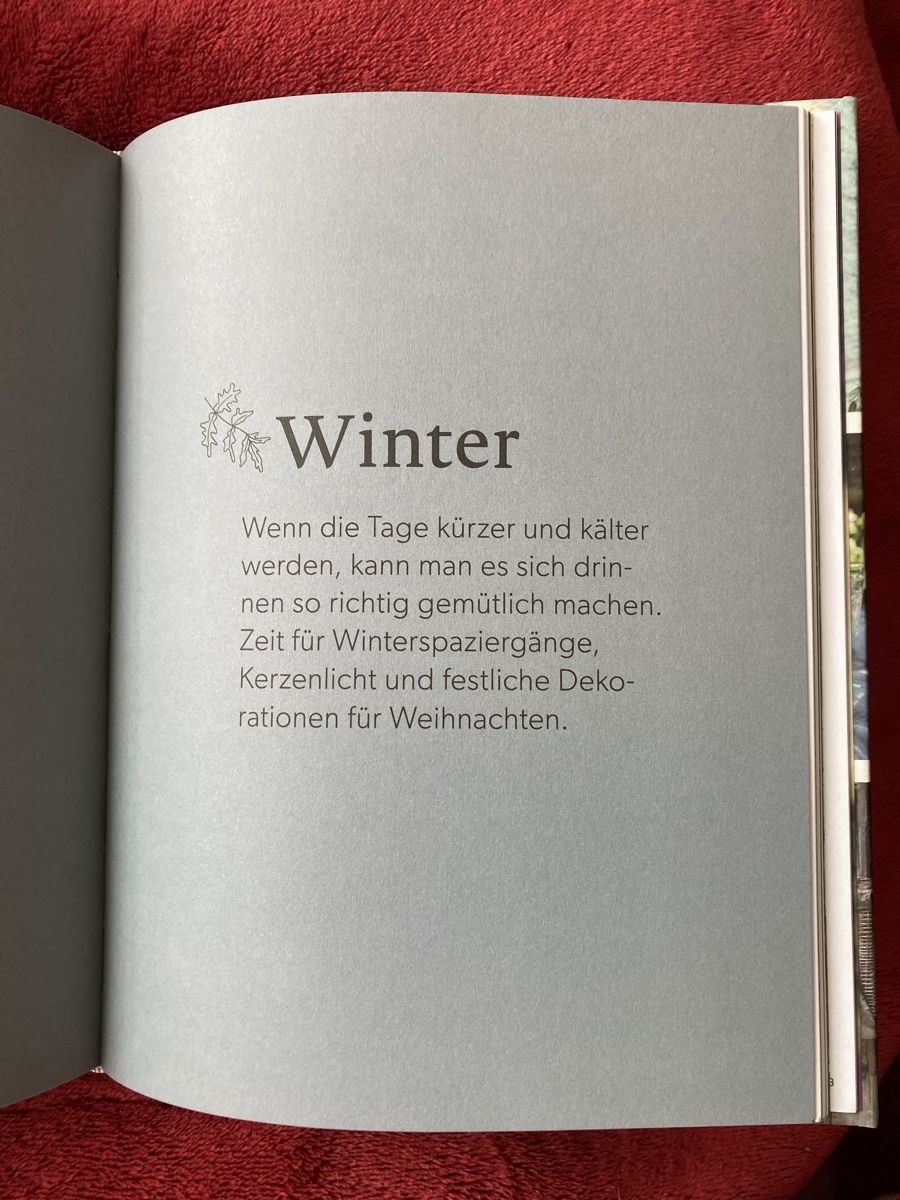 Bücher: Naturdeko Buch Petra Salvisberg – Gebraucht aus Widen von nigella90 5