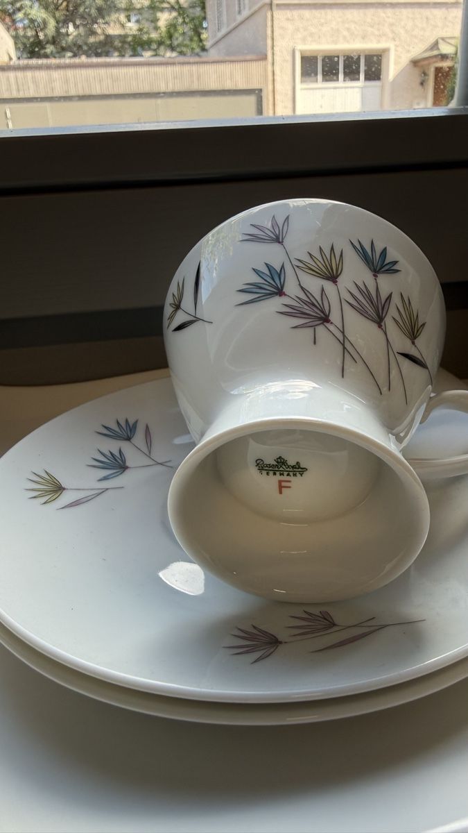 Rosenthal Set di piatti: Rosenthal "Form 2000 Blütenspiel" Kaffeeservice, 15-teilig  – Usato da Kreuzlingen venduto da ire_9kl2 4