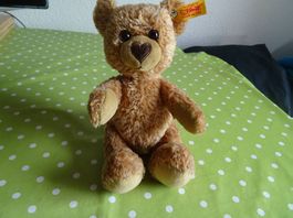 Teddybär von Steiff