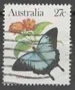 AUSTRALIA : SCHMETTERLING NASCHT  12