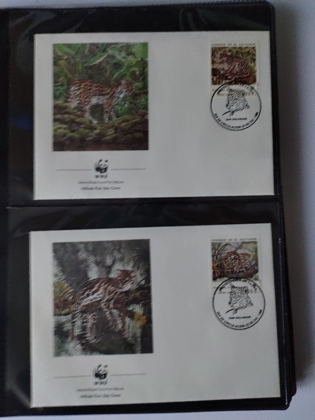 Tutti i francobolli: WWF Ozelot Langschwanzkatze Briefmarken Sammlung – Nuovo (secondo la descrizione) da Greifensee venduto da Retepw 6