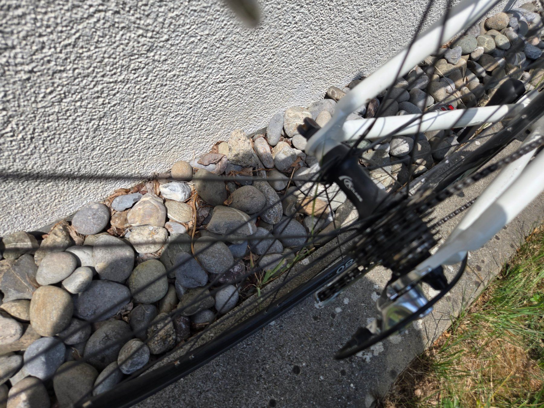 Biciclette: Rennvelo Racer ab 1.- Franken – Difettoso da Aesch ZH venduto da tisalut 7