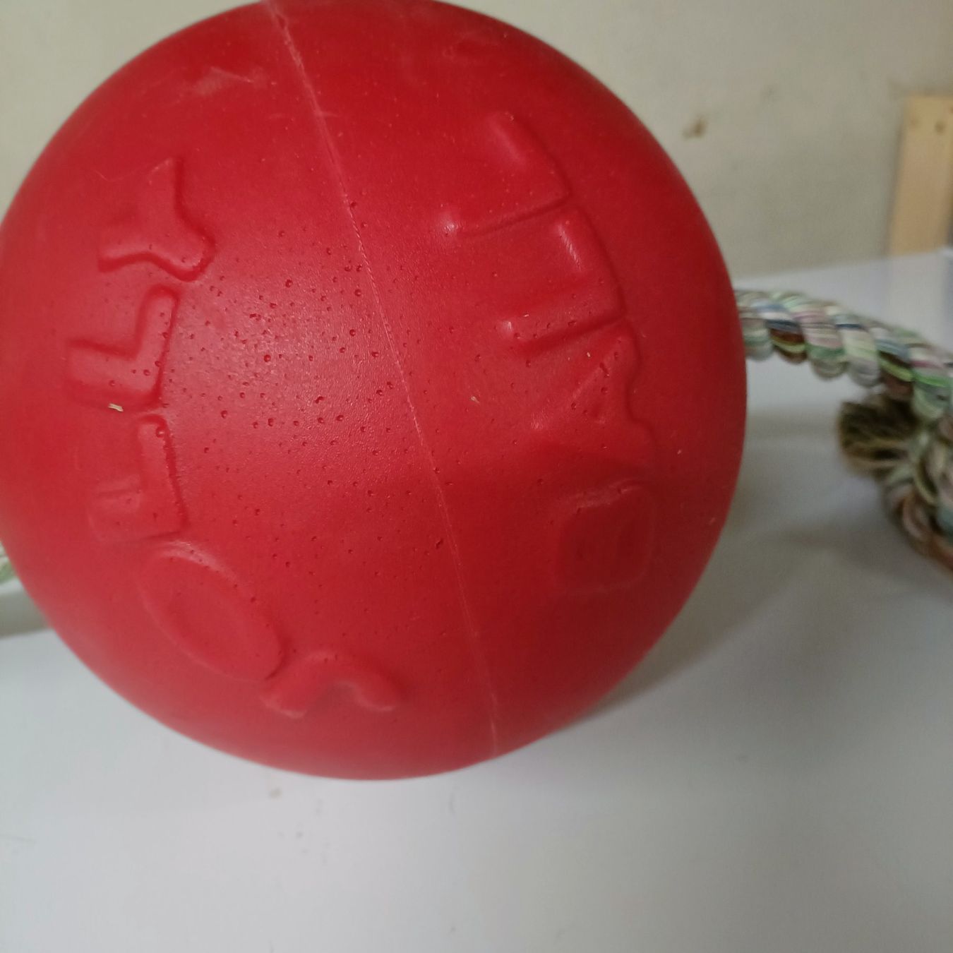 Giocattoli: Hundespielball Jolly Pets Ball Hund oder Pferd RompNRoll – Nuovo (secondo la descrizione) da Sitterdorf venduto da imsis 2