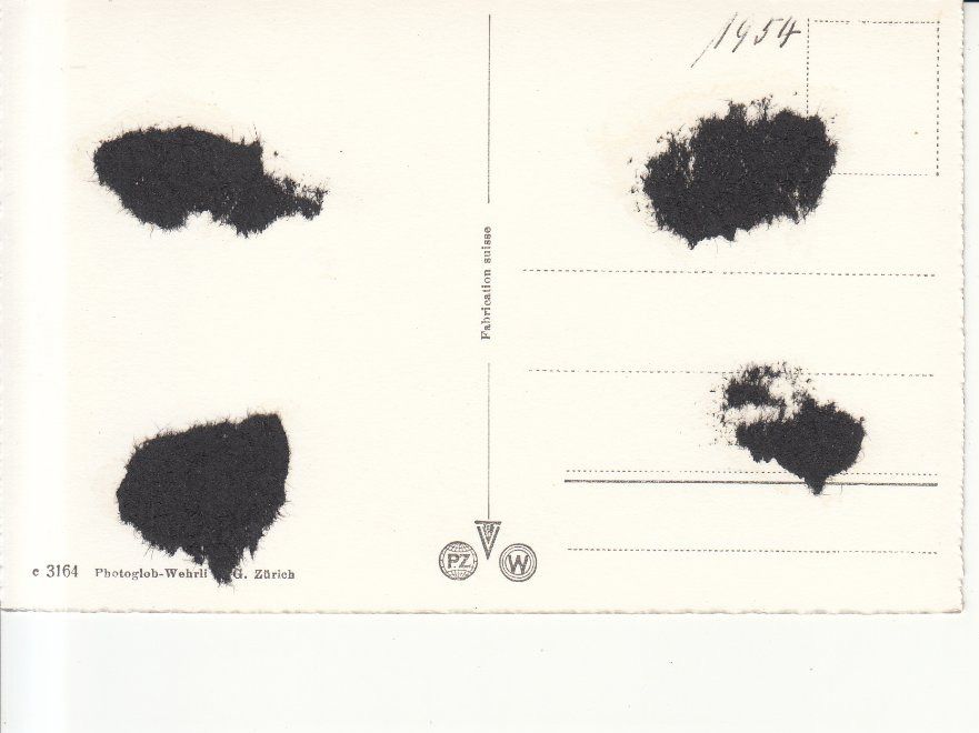Cartoline postali: Brienz  1954 – Usato da Bürglen TG venduto da StampGraf 1