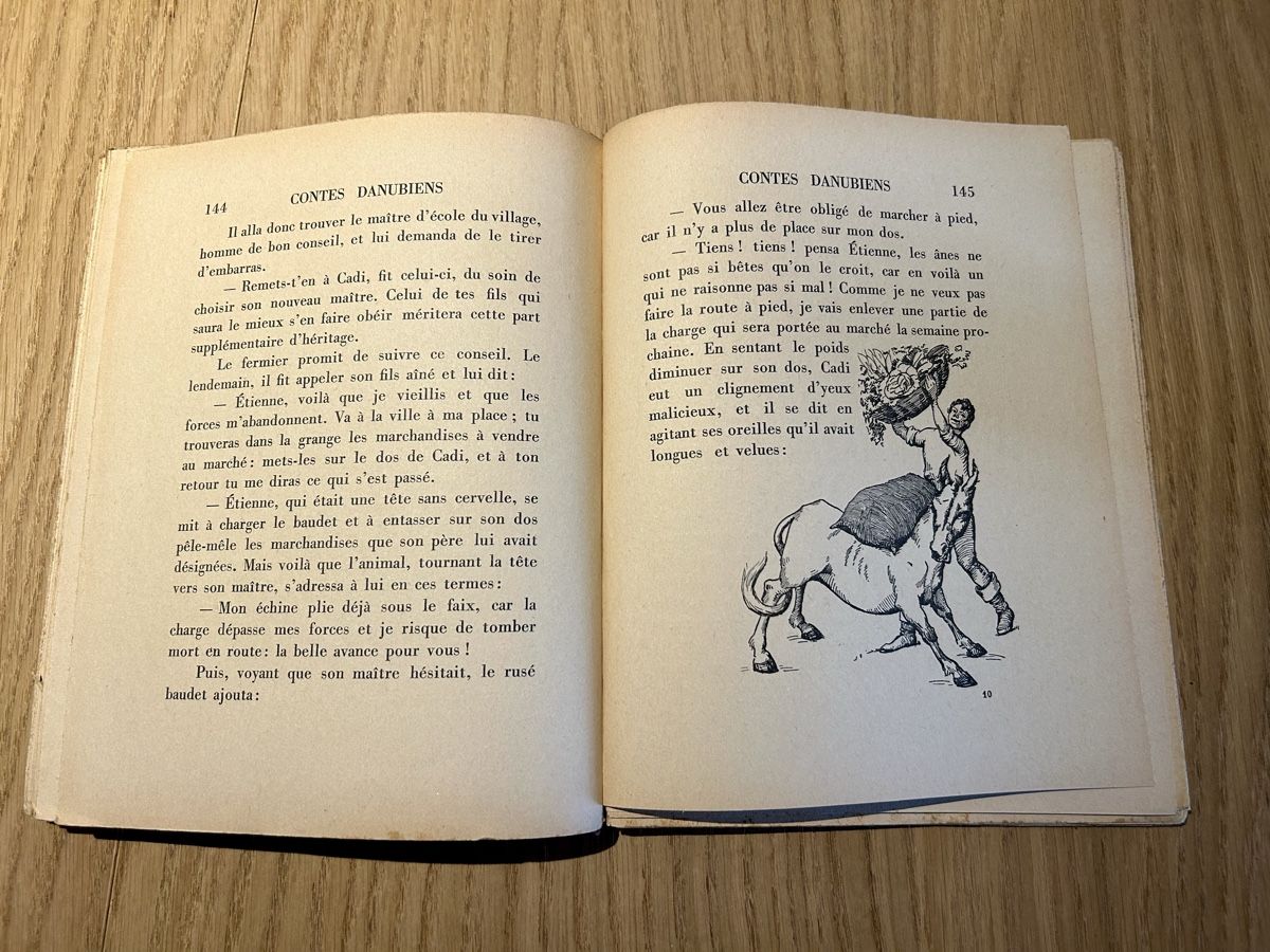 Libri:  Contes danubiens Bourdoncle Albin Michel illustré – Usato da Lausanne venduto da TelmaLouise70 4