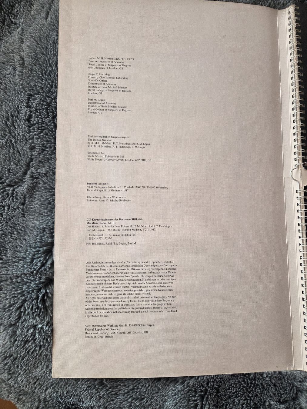 Libri: Das Skelett Faltatlas – Usato da Bühler venduto da ros_5qfr 2