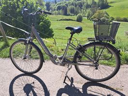 E-Bike/Elektrofahrrad/Elektrovelo