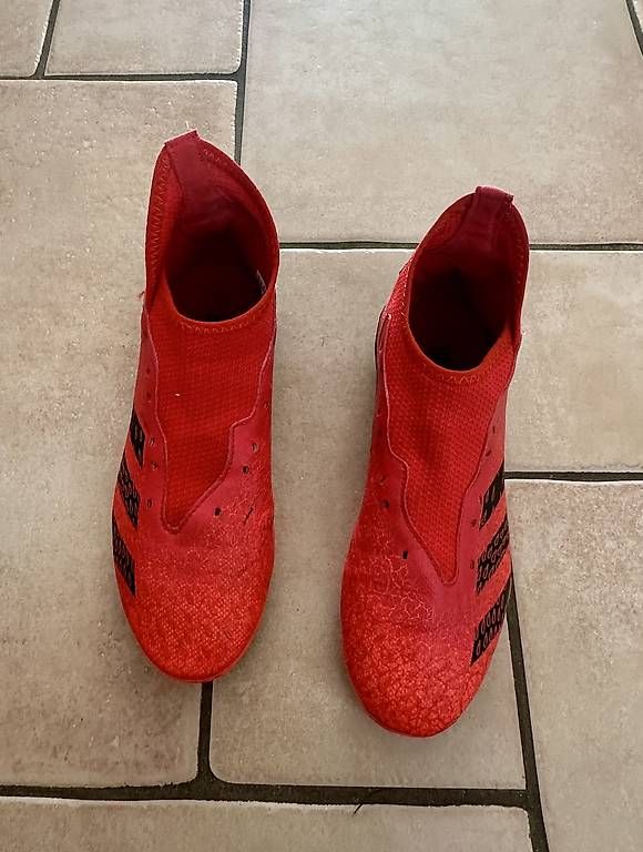 Adidas Scarpe per ragazzi: ADIDAS PREDATOR 38 – Nuovo (secondo la descrizione) da Genestrerio venduto da Demis27 1