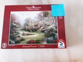 Puzzle mit Fehlenden Teile