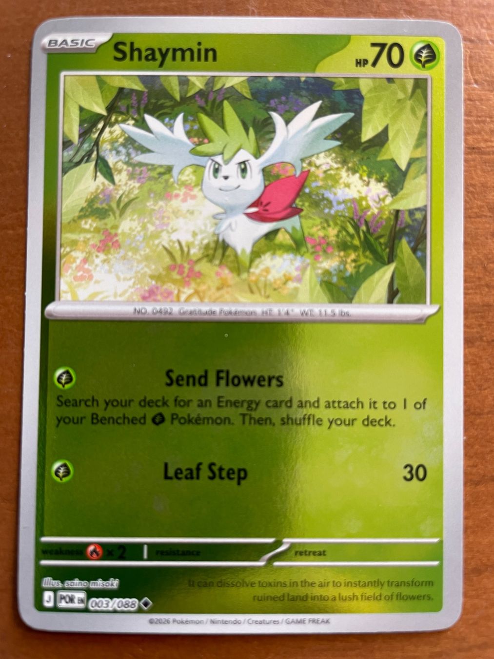 Pokémon Carte collezionabili: Pokemon Shaymin Reverse (Versand gratis) – Nuovo (secondo la descrizione) da Chur venduto da Angerson