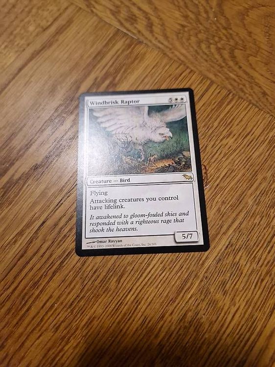 Magic the Gathering Windbrisk Raptor (Gebraucht) in Sennhof für CHF 5 ...
