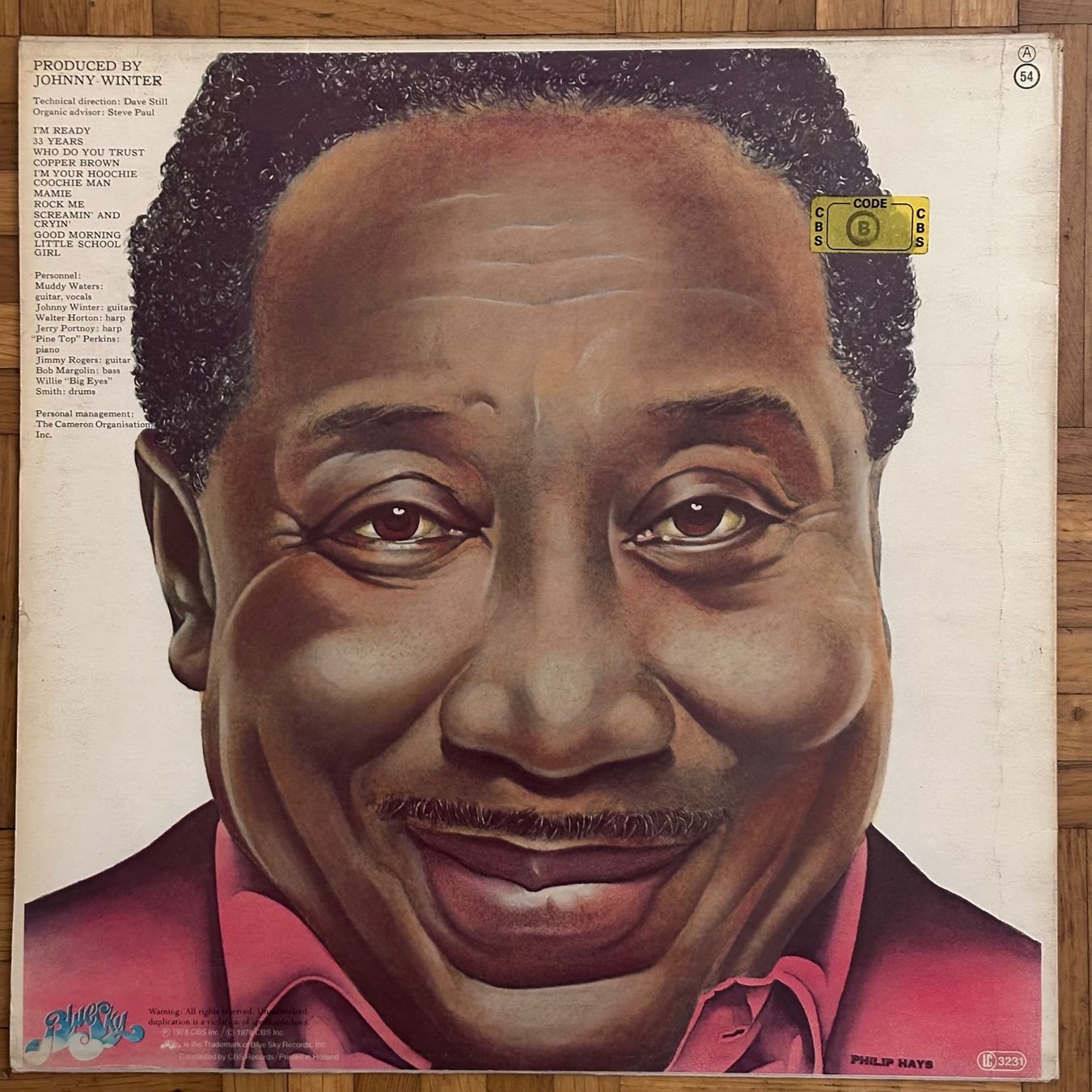 Dischi in vinile: LP - Muddy Waters - I'm Ready – Usato da Breganzona venduto da Onairda75 1