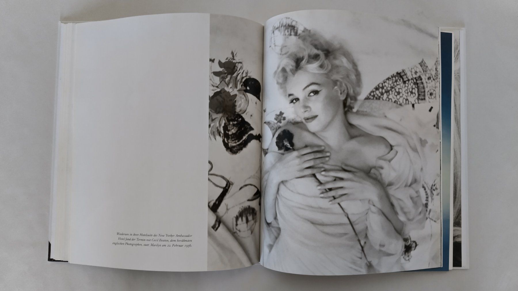 Libri: Marilyn Monroe Ein wunderschönes Kind / Biographie ab Fr. 14 – Usato da Bellach venduto da JingleJerry 8