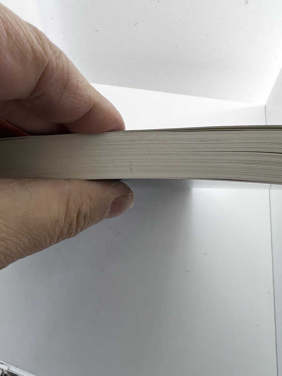 Libri: c. claudel - Fondation Pierre Gianadda – Usato da Wettingen venduto da NickInc 9