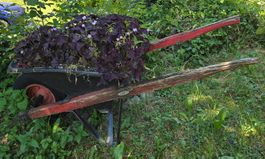 Vintage Gartenschubkarre mit Holzgriffen