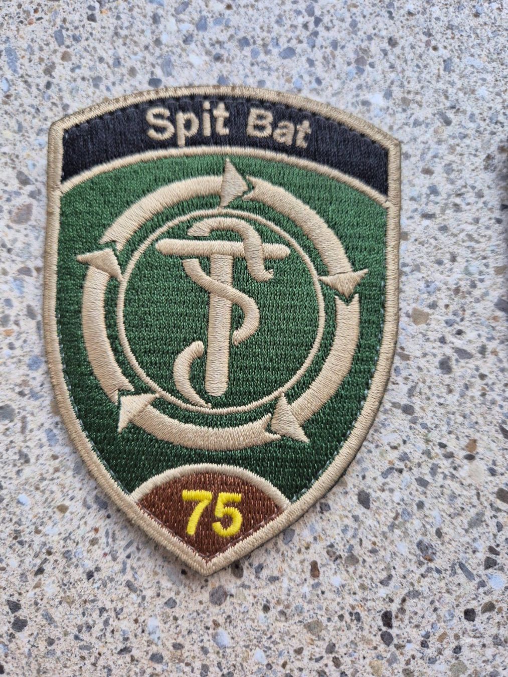 Schweizer Armee Placchette & Badge: *** Badge Log Bat 51 mit klett *** – Nuovo e nell'imballaggio originale da Riedholz venduto da fr_sIruP