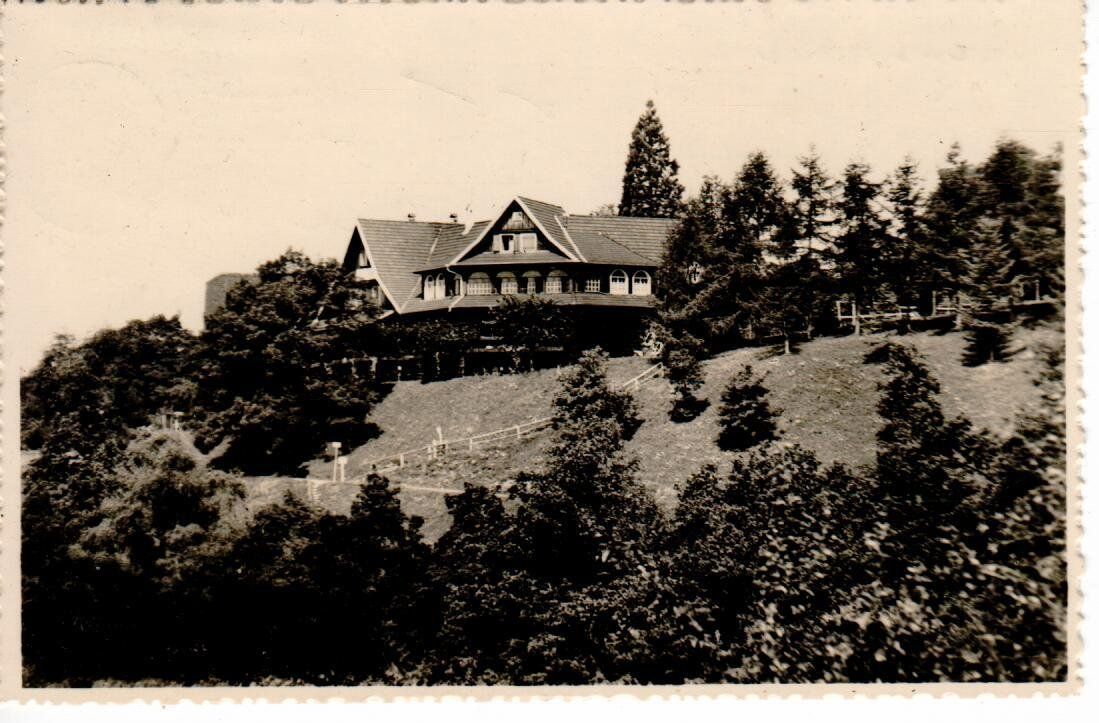 Cartoline postali: Dietschiberg Luzern – Usato da Wolhusen venduto da Curver9