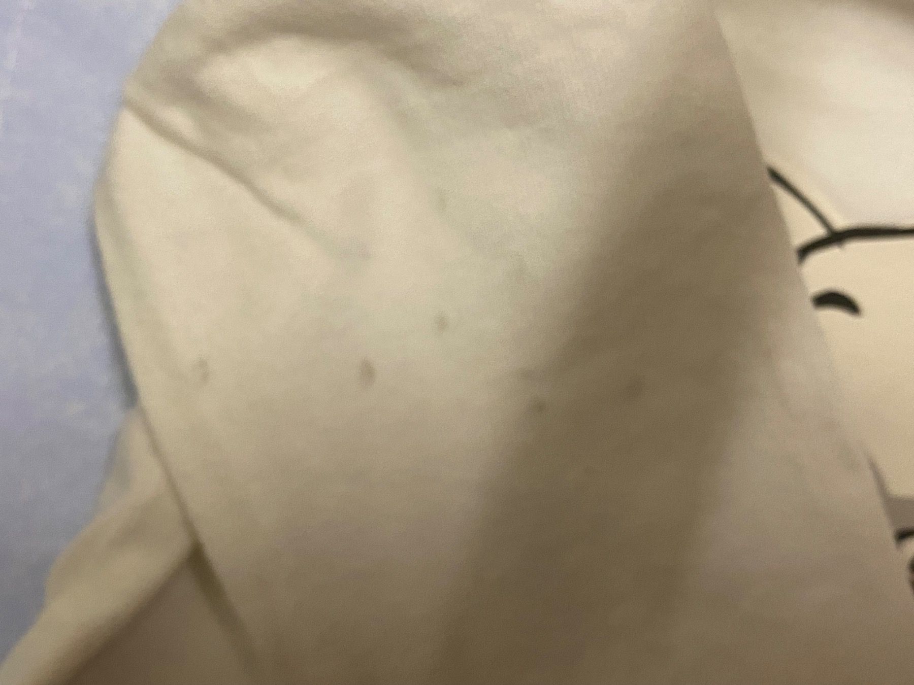 C&A Pulls et sweat-shirts: Pullover in Grösse 80, ideal für Zwillinge – D'occasion à Sissach par SV-650 3