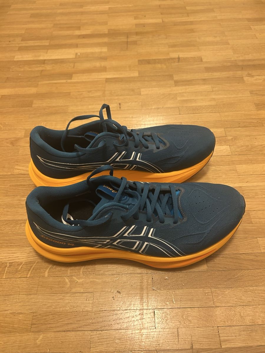 Scarpe da uomo: Neue Asics GT2000 Grösse 44 – Nuovo (secondo la descrizione) da Bern venduto da Luukas00
