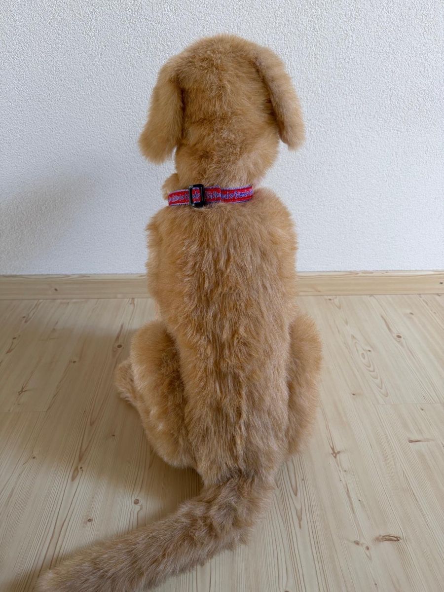 FurReal Giocattoli: FurReal Friends Hund Biscuit – Usato da Beinwil (Freiamt) venduto da Zpower 2