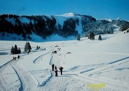 FLUMSERBERG Wanderweg und Langlaufloipe Madils