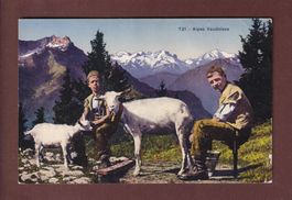 Alpes vaudoises - CHEVRIERS - 1926 // pli d'angle //