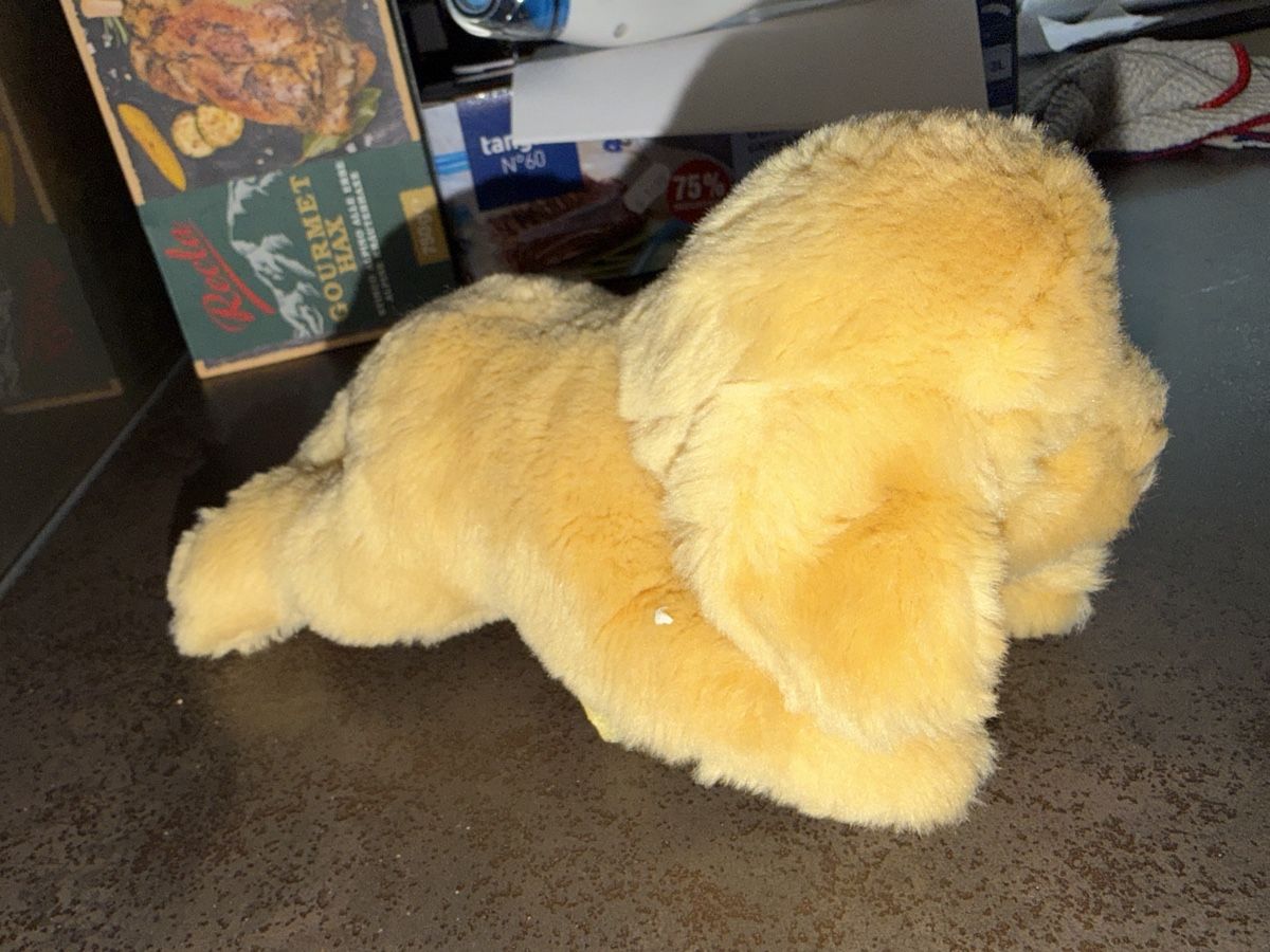 Steiff Jouets: Plüsch Hund STEIFF  – Neuf (Voir description) à Dornach par samuti 1
